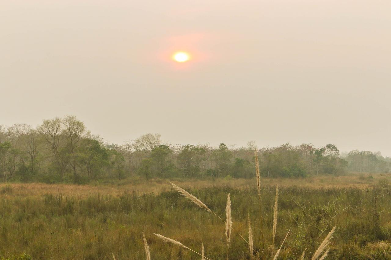 Jagatpur Lodge Khargauli Buitenkant foto